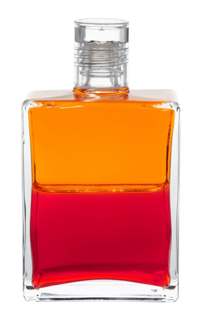 Equilibrium: Orange/Rot