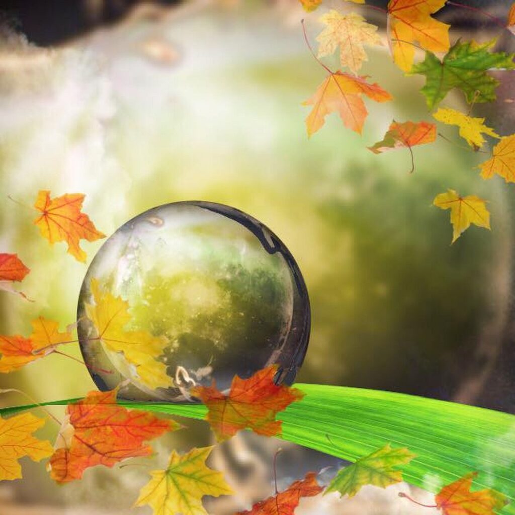 Seminar Reiki 3./4. Grad (Meister/Lehrer)